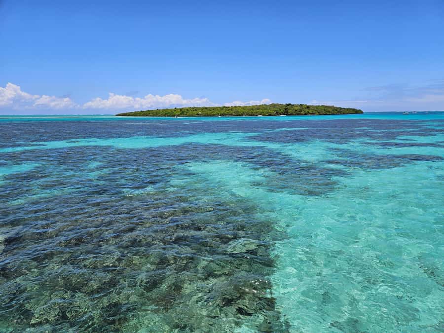 FULL-DAY CATASPEED - East Lagoon cruise including transfer. - Ile aux Cerfs: beautiful, busy, and not perfect