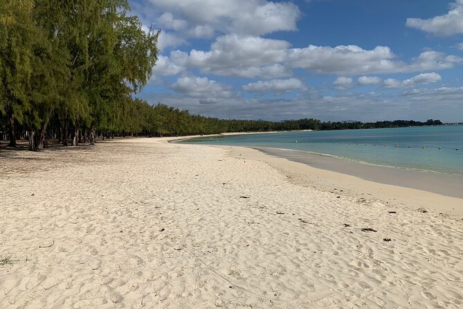 Full-Day Dolphin Watching Cruise in Mauritius - Tamarin Bay and the dolphin encounter
