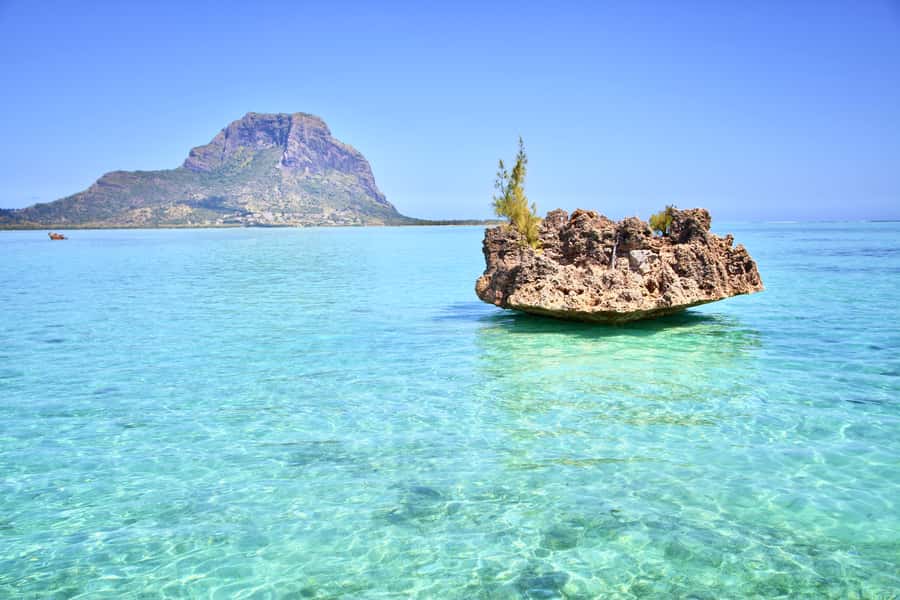 Full Day Dolphins Watching Ile aux Benitiers & Crystal Rock - Key points to know before booking
