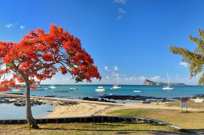 Full Day North Private Guided Tour Mauritius: including lunch - Port Louis: a quick look at Mauritius’s capital