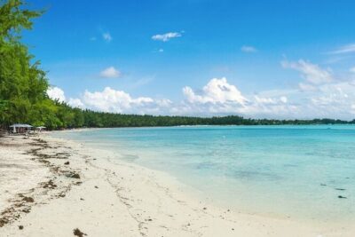 Full-Day North Tour of Mauritius, ALL INCLUSIVE Day Trip, Private SUV Car, Guide