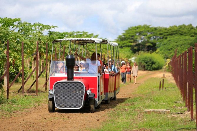 Full-Day North Tour of Mauritius, ALL INCLUSIVE Day Trip, Private SUV Car, Guide - Le Fangourin turns lunch into part of the tour