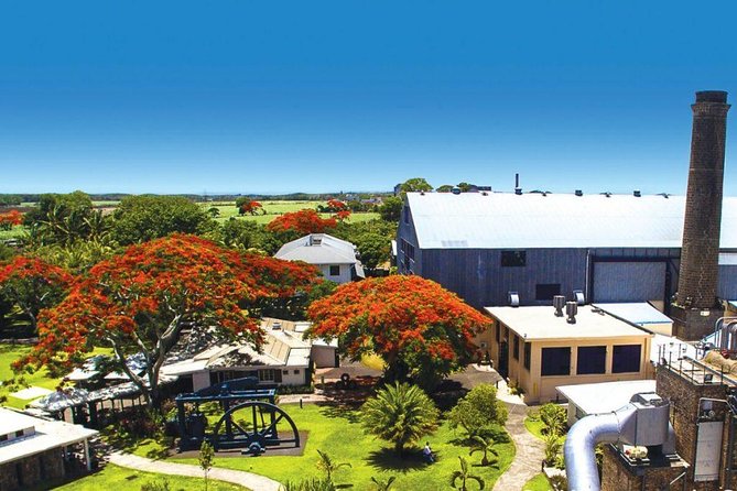 Full-Day North Tour of Mauritius, ALL INCLUSIVE Day Trip, Private SUV Car, Guide - Maheswarnath Mandir and Mauritius’s Hindu traditions