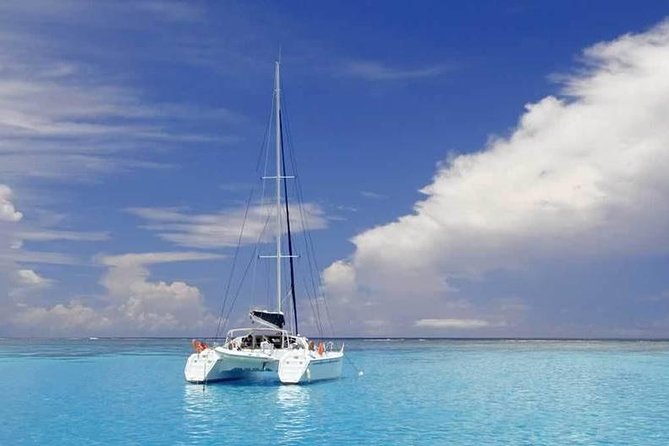 Full-Day Northern Catamaran Cruise: Coin de Mire and Ile Plate Island - Is $111.54 a Fair Price?