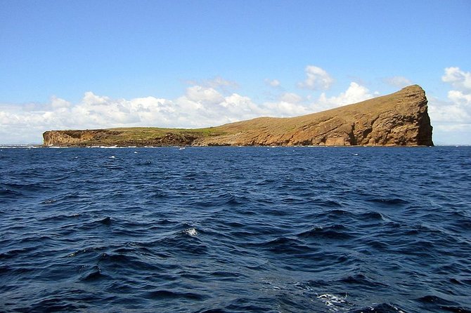 Full-Day Northern Catamaran Cruise: Coin de Mire and Ile Plate Island - Swimming and Snorkeling in a Calm Northern Lagoon