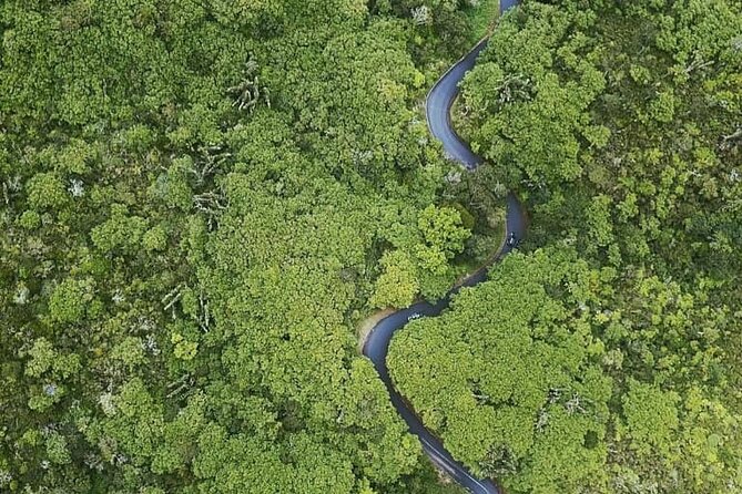 Full Day Private car only Guided SOUTH WEST of Mauritius - Vallée Aventure Park adds optional adventure