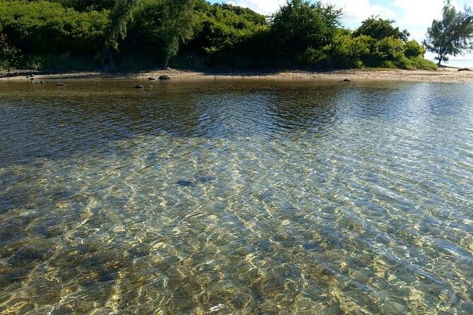 Full-Day Private Hiking le Morne Mountain & Seafood Lunch at Islet Fourneau - Leaving at 6:45 am for a cooler trail