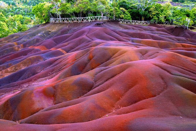Full Day Private Tour in South of Mauritius - Curepipe and Floreal: a look at everyday Mauritius