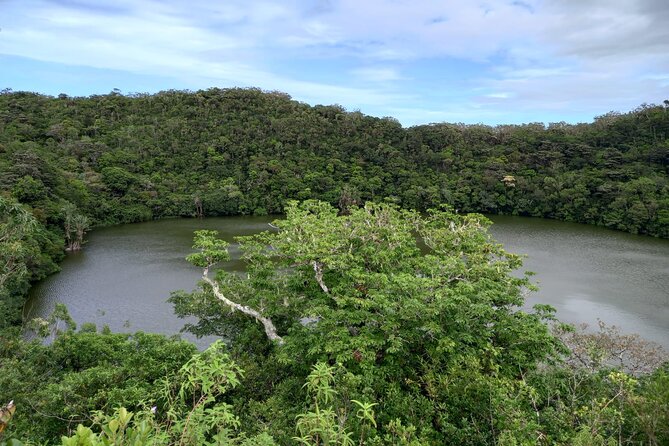 Full Day Private Tour in South of Mauritius - Trou aux Cerfs, the final volcanic view