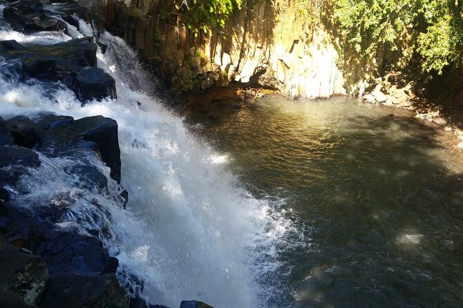 Full Day Private Tour in South of Mauritius - Alexandra Falls and Black River Gorges