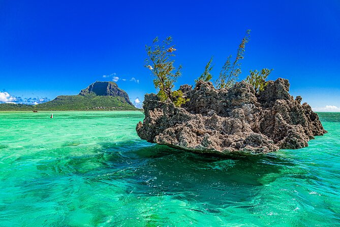 Full day Shared Speedboat Tour - South West Lagoon Dolphin Swim - What the $106 price really covers