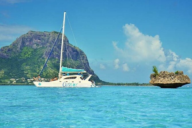 Full day Shared Speedboat Tour - South West Lagoon Dolphin Swim - The crew can shape the whole day