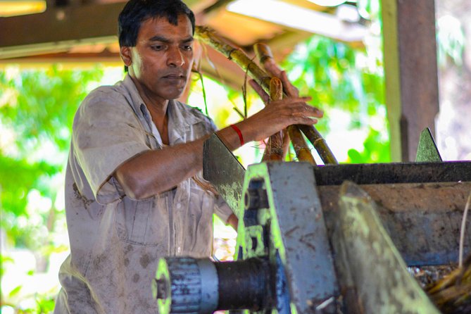 Full-Day South Tour of Mauritius, ALL INCLUSIVE Day Trip, Private SUV Car, Guide - La Vanille Nature Park, with tortoises and crocodiles