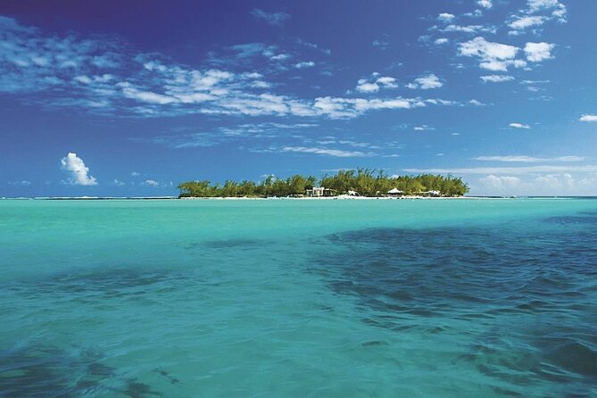Full Day Tour 5 Island to Ile Aux Cerfs Incl. Lunch and Transfer - The Dalbair shipwreck at Pointe d’Esny