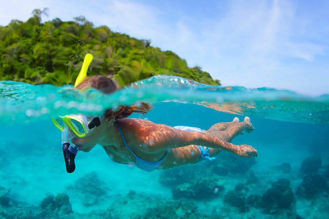 Full Day Tour 5 Island to Ile Aux Cerfs Incl. Lunch and Transfer - GRSE waterfall, monkeys, and fruit bats