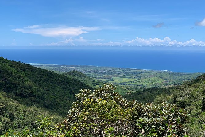 Full-Day Tour of South West Mauritius - Black River Gorges and Alexandra Falls