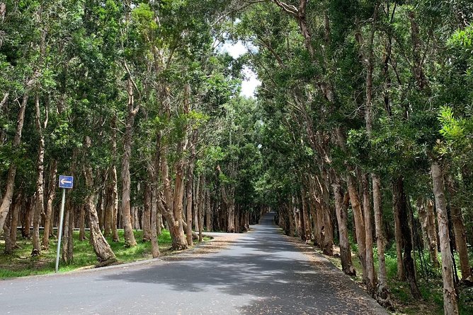 Full-Day Tour of South West Mauritius - The Seven Coloured Earth Geopark