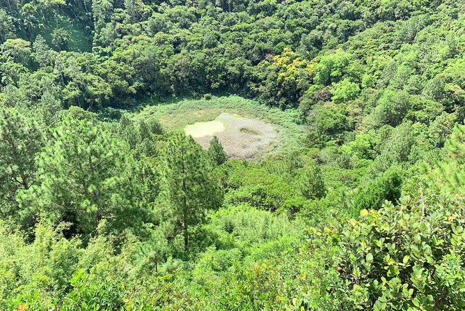 Full-Day Tour of South West Mauritius - Rhumerie de Chamarel and the Rum Tasting