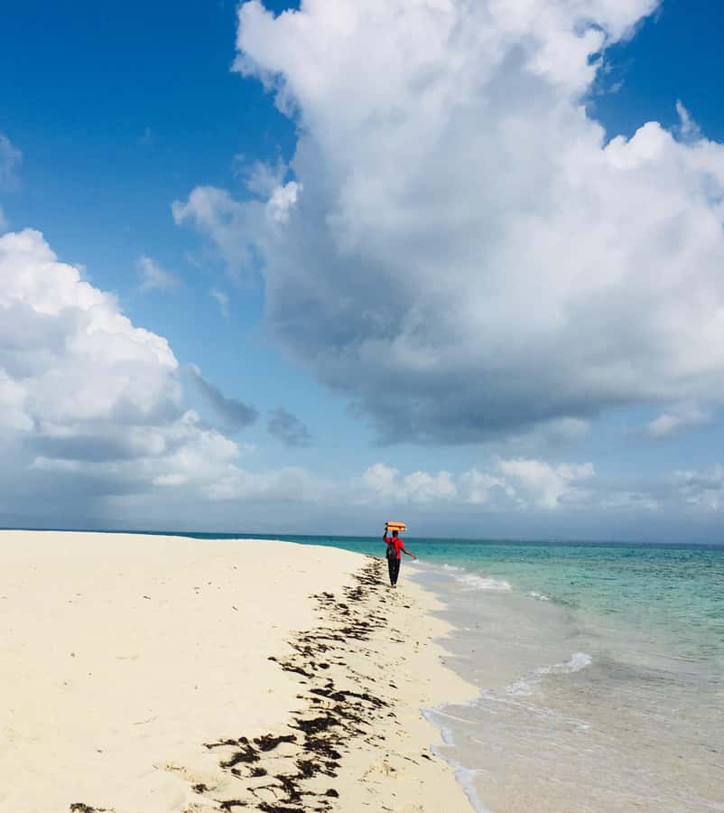 Full day tour personal chauffeur - Scenic stops and the value of local guidance