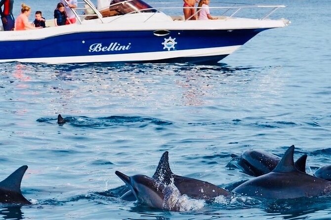 Fully Day Tour: Dolphin Encounters, Crystal Rock at Benitiers Island - A seven-hour trip built around three water stops