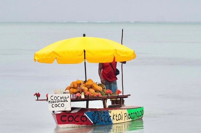 Fully Day Tour: Dolphin Encounters, Crystal Rock at Benitiers Island - Lunch at Benitier Islet