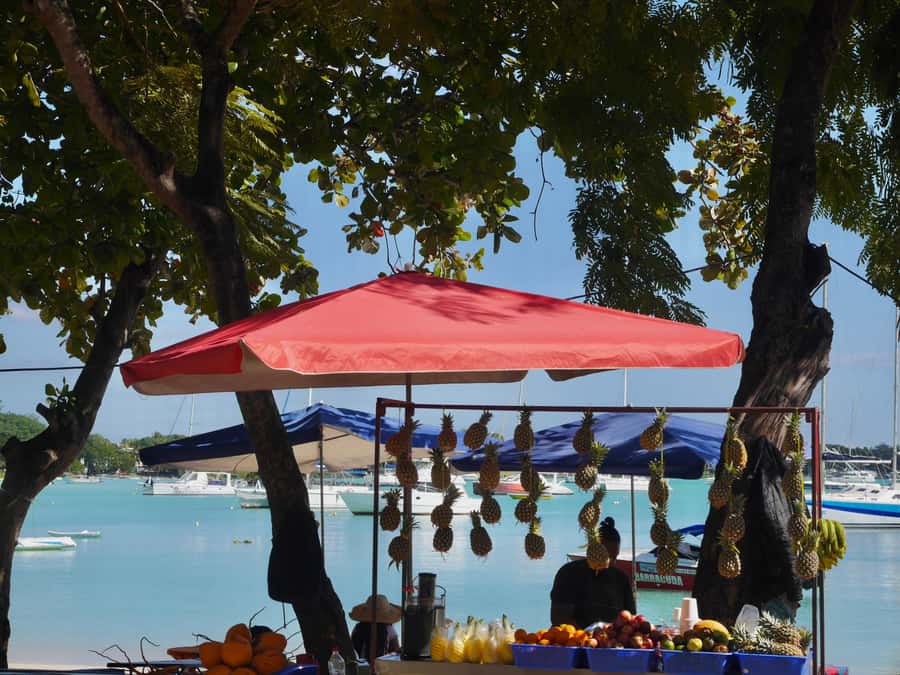 Grand Baie: Coastal Cuisine & Culture Walking Tour - Key points at a glance