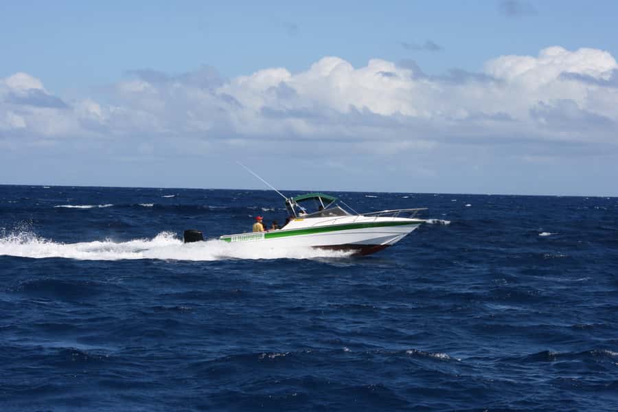 Grand Baie: Three Islands Private Boat Trip and Beach BBQ - Coin de Mire is the underwater highlight