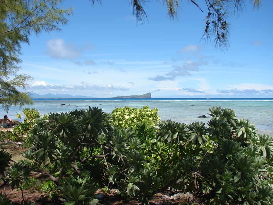 Grand Baie: Three Islands Private Boat Trip and Beach BBQ - Flat Island offers the best quiet time