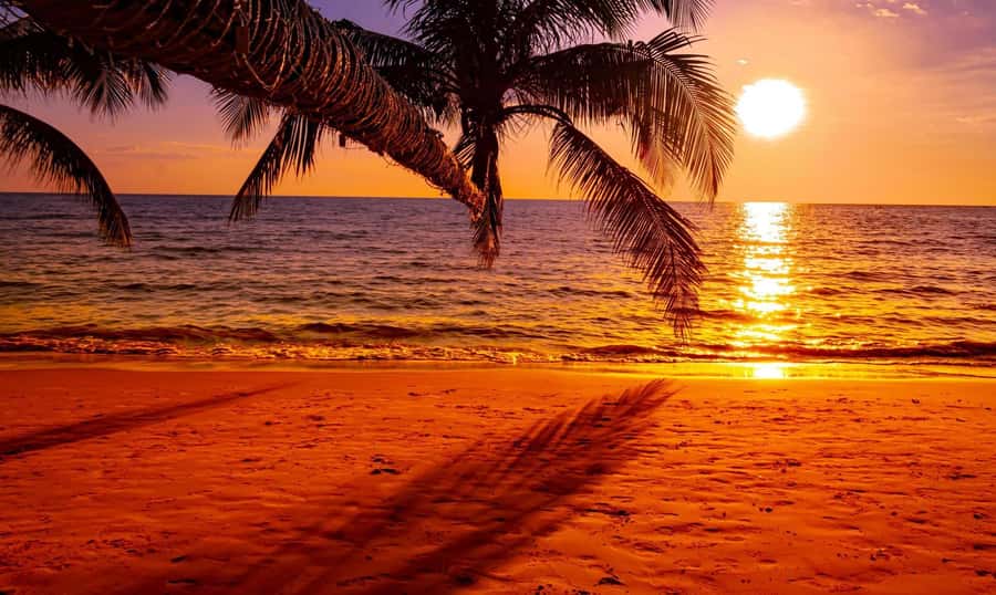 Grand Bay: Honeymoon/Lovers Sunset Tour with Romantic Dinner - Cancellation and booking advice