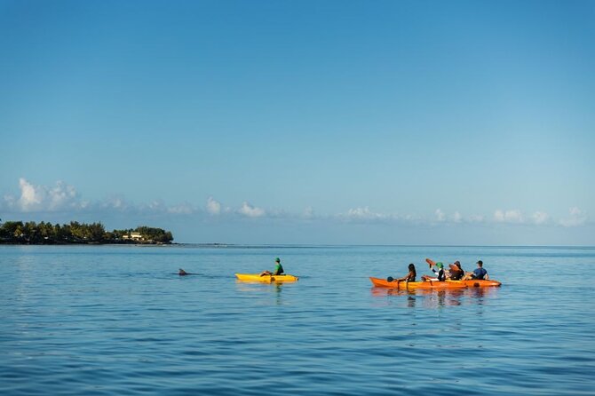 Guided Kayak 2-Hour Activity with Dolphins - Why the sunrise setting matters