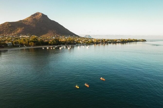 Guided Kayak 2-Hour Activity with Dolphins - The dolphins of Tamarin Bay
