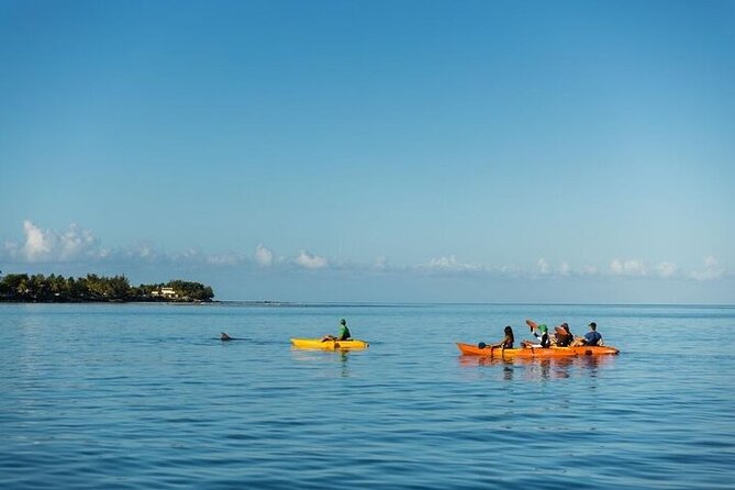 Guided Kayak 2 Hours Activity with Dolphins - Paddling into Tamarin Bay