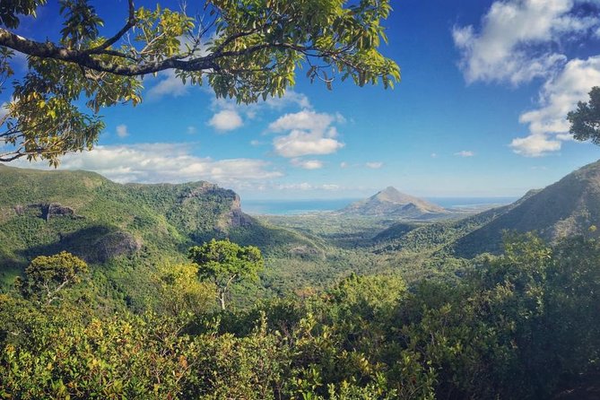 Hiking in the Black River Gorges National Parc - Native Forest - What makes Black River Gorges worth your morning