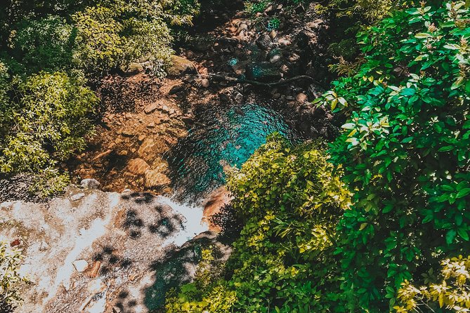 Hiking in the Black River Gorges National Parc - Native Forest - Descending to the Black River