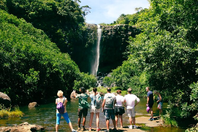 Hiking Sept Cascades (Tamarind Falls) - Half Day - Is the $57.93 price good value?