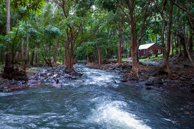 Hiking the Black River Gorges: Full-day with Lunch and Transfer - Waterfalls, gorge views, and mountain scenery