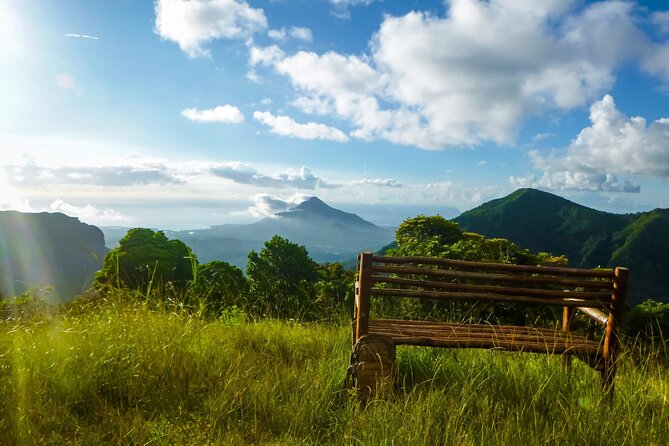 Hiking the Black River Gorges: Full-day with Lunch and Transfer - Who will enjoy this private hike most