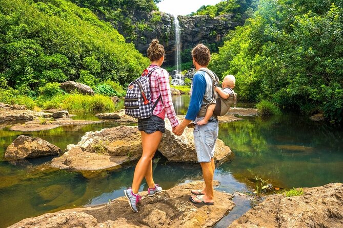 Hiking the Black River Gorges: Full-day with Lunch and Transfer - Two hours in the national park