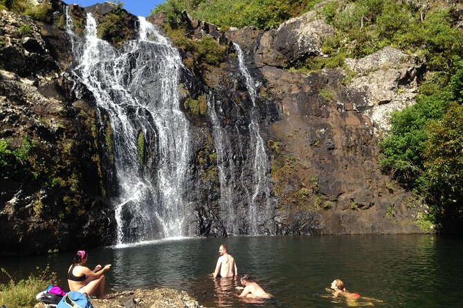 Hiking Trip Full-Day: The Magnificent 7 Waterfalls Sept Cascades including Lunch - Walking through forest, basalt, and rushing water