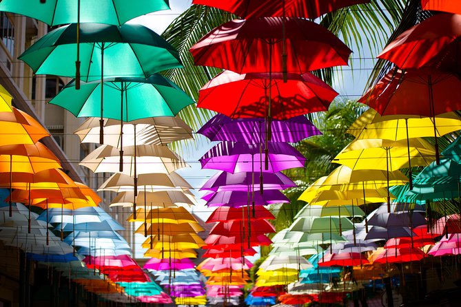 Historical Guided Day Tour : City - Sugar World - Botanical Garden - Key points to know before booking