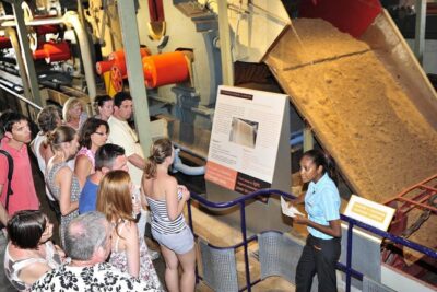 Historical Private Guided Tour, City-SugarWorld-Botanical Garden – Min.2 persons