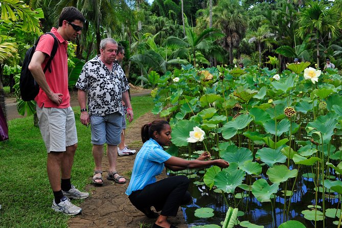 Historical Private Guided Tour, City-SugarWorld-Botanical Garden - Min.2 persons - Three hours at Caudan Waterfront and Port Louis