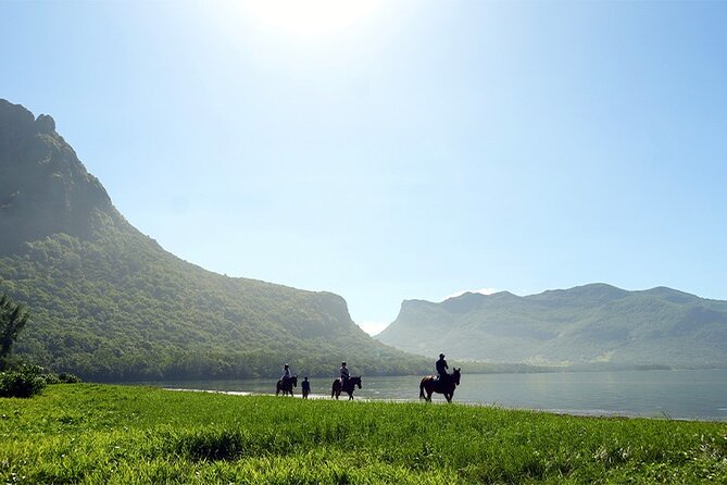Horse Riding experience by Haras du Morne - Key points to know before booking