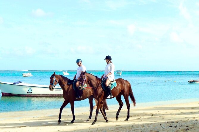 Horse Riding experience by Haras du Morne - Le Morne: a powerful first stop