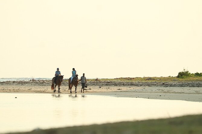 Horse Riding experience by Haras du Morne - Trou aux Cerfs and the views over Curepipe