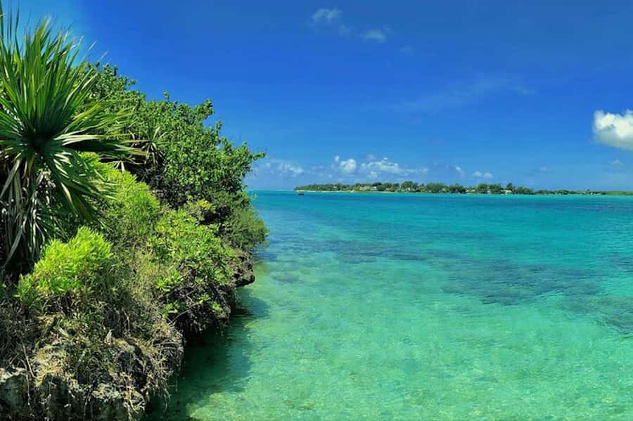 Ile aux Aigrettes Reserve & Blue Bay Glass Bottom Boat - Ile aux Aigrettes, Mauritius wildlife in a small space
