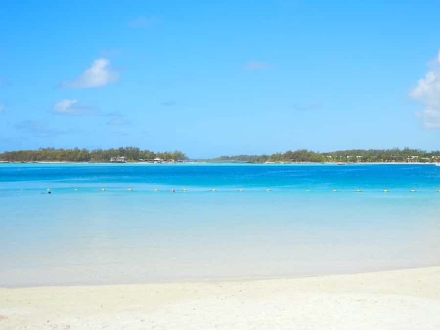 Ile aux Aigrettes Reserve & Blue Bay Glass Bottom Boat - Who should book this experience?