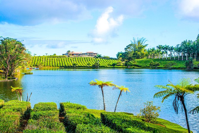 Ile aux Aigrettes - Tea Route - Gris Gris Private Guided Tour (Min. 2 persons) - How the private format affects the day