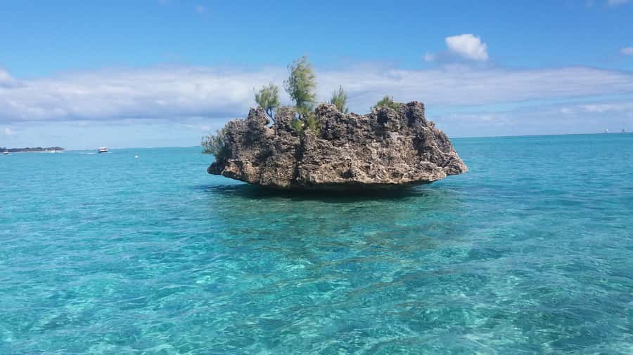 Île aux Bénitiers: Snorkeling w/Dolphins Boat Tour & Lunch - Beach time, reefs, and the slower afternoon