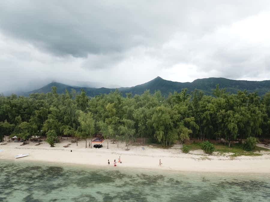 Île aux Bénitiers: Snorkeling w/Dolphins Boat Tour & Lunch - What the $115 price really covers